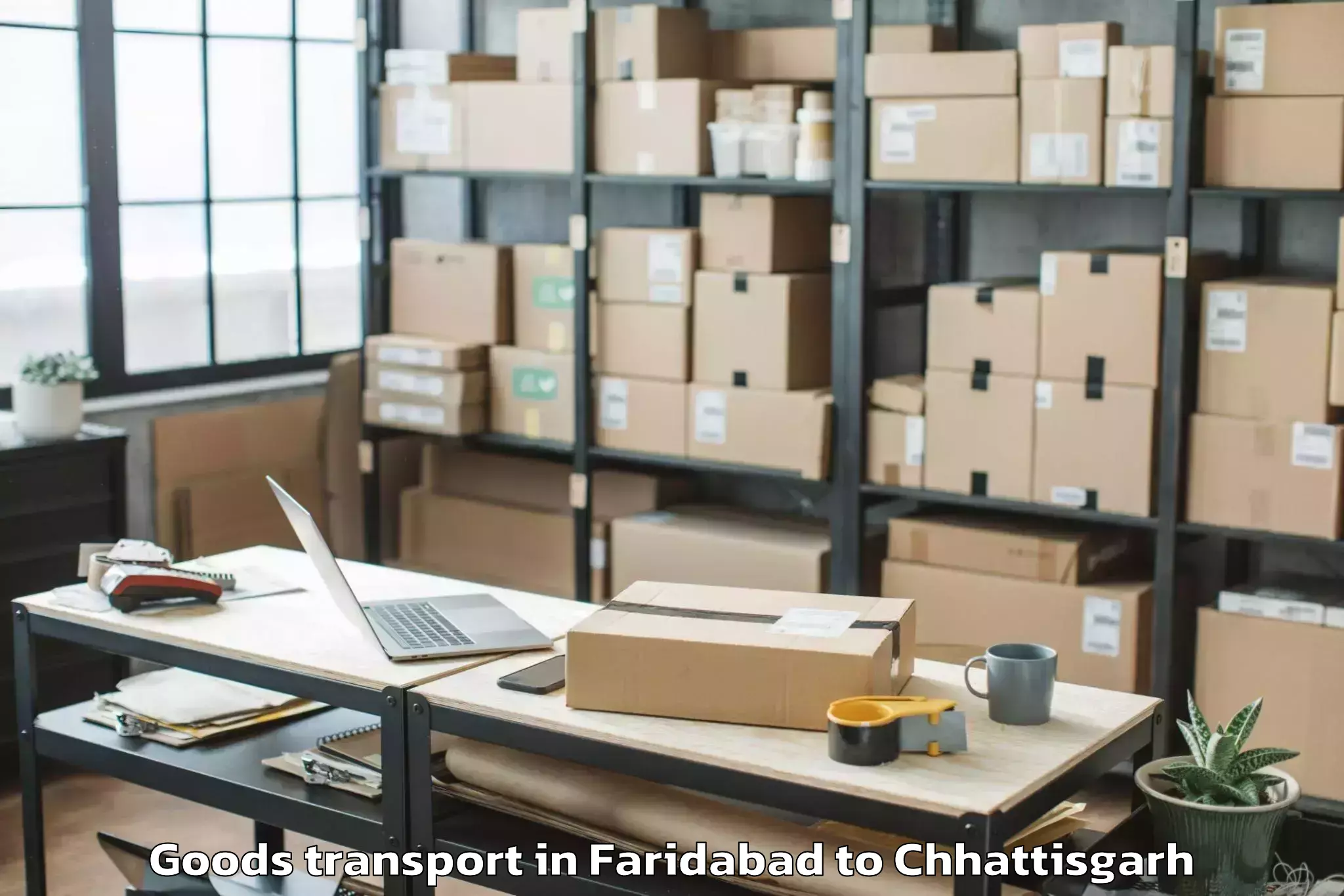 Professional Faridabad to Dantewada Goods Transport